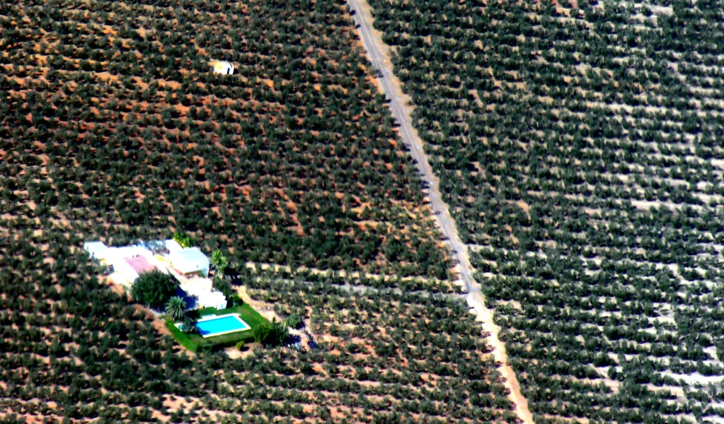 Vista ilustrativa del interior de la Vega Baja, cerca de Almoradí